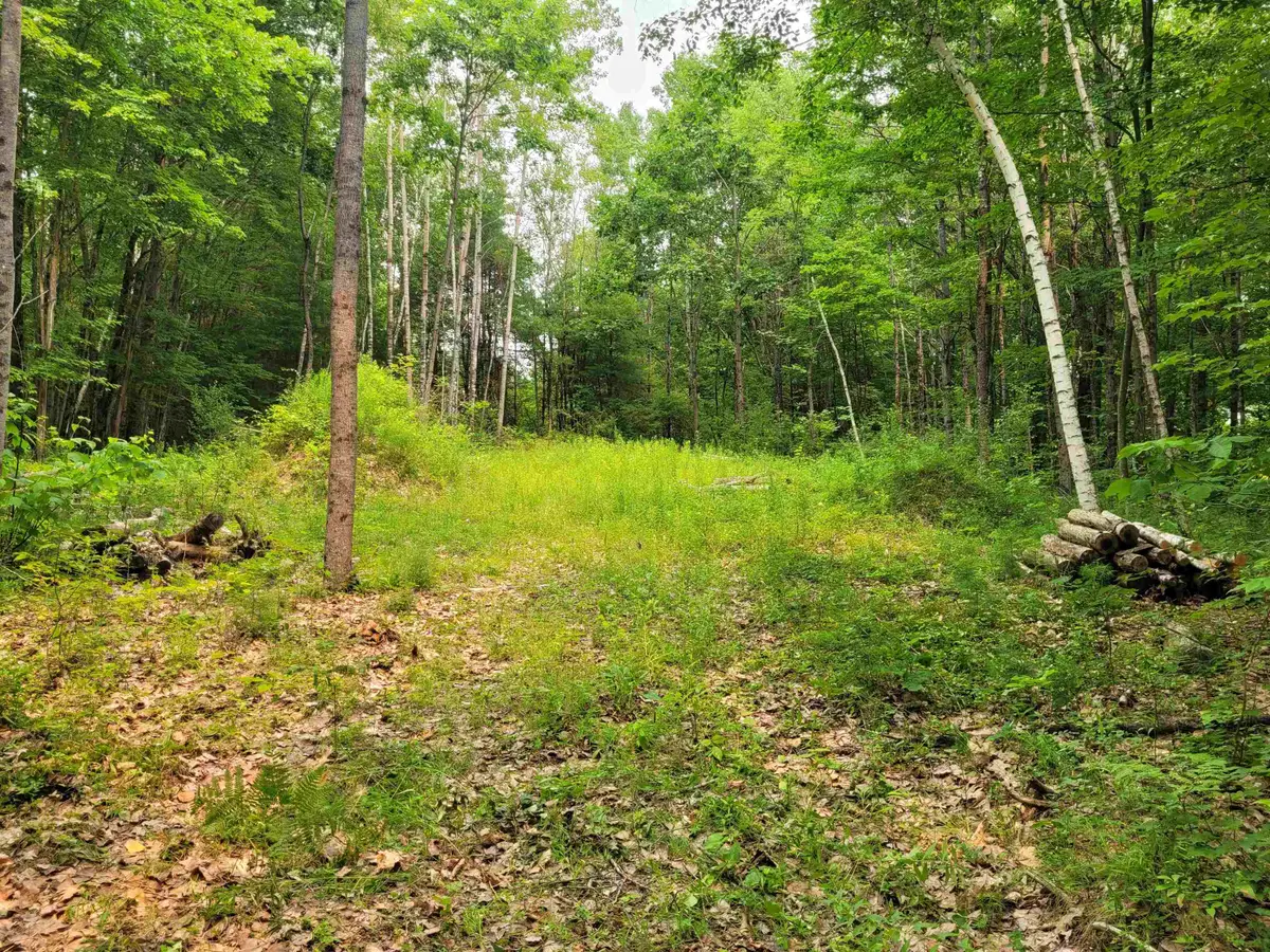 54 Fullam Pond Road, Winchester, NH 03470 - #1