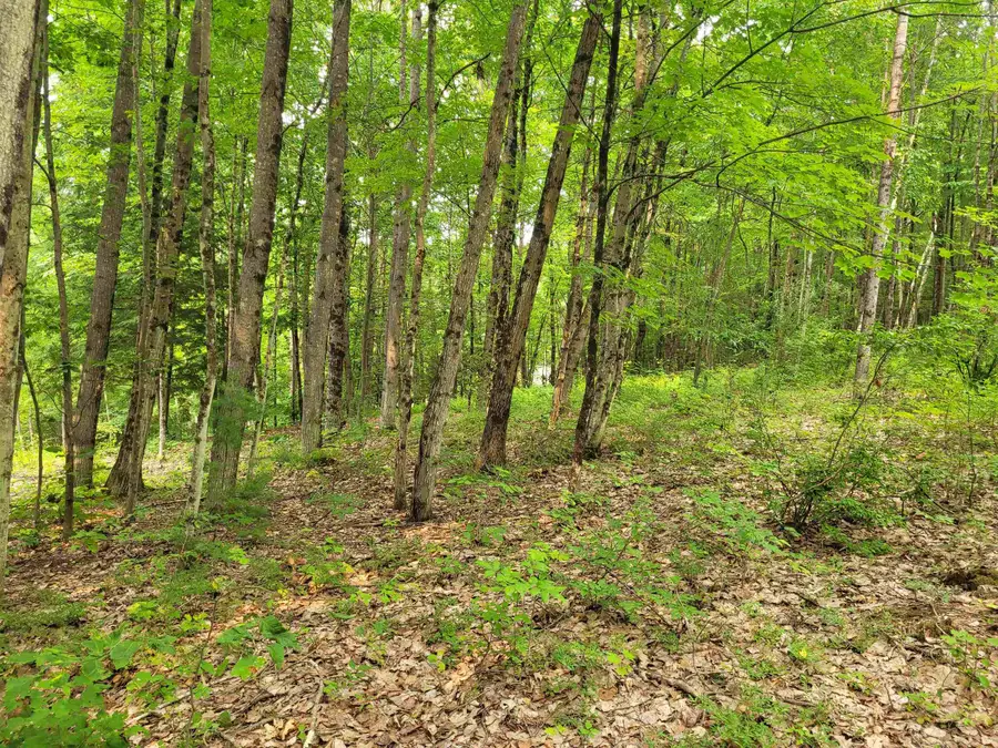 54 Fullam Pond Road, Winchester, NH 03470 - #2