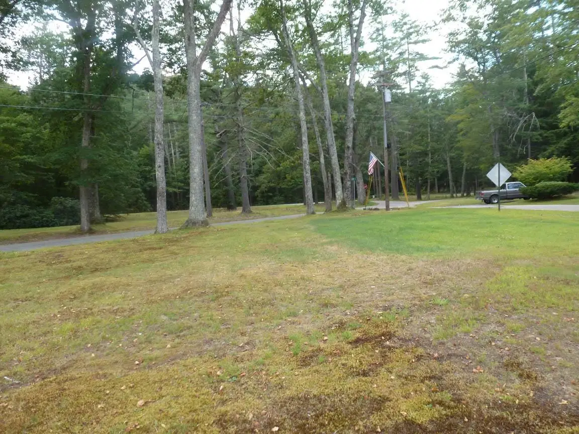 Shop Road #Tract 1, Hill, NH 03243 - #1