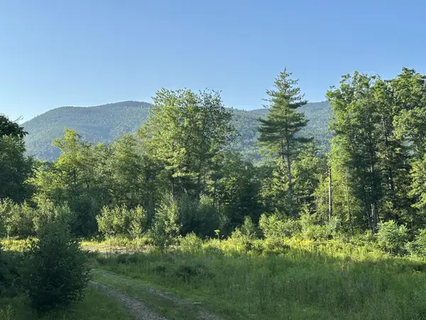 00 Bryant Heights Road, Tamworth, NH 03886