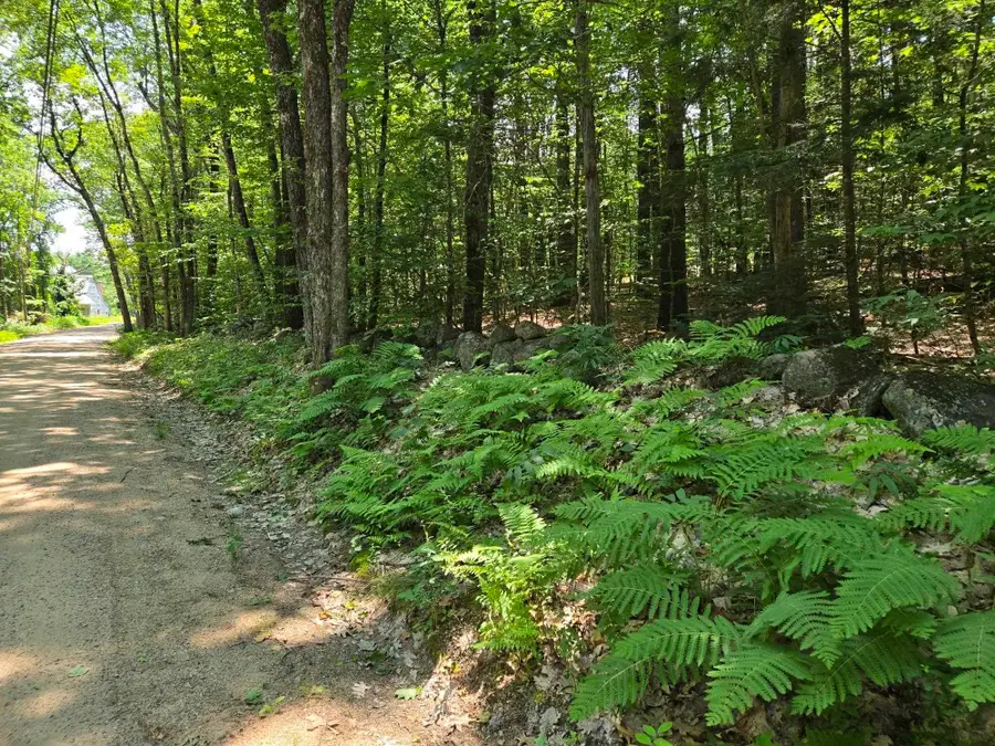 Lot 26 Davis Hill Road, Conway, NH 03813 - #2