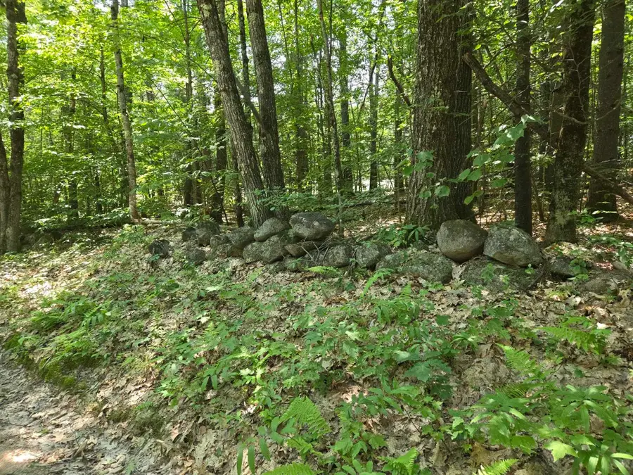 Lot 26 Davis Hill Road, Conway, NH 03813 - #3