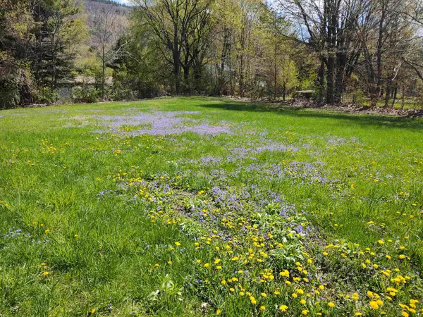 130 North Street, Bristol, VT 05443