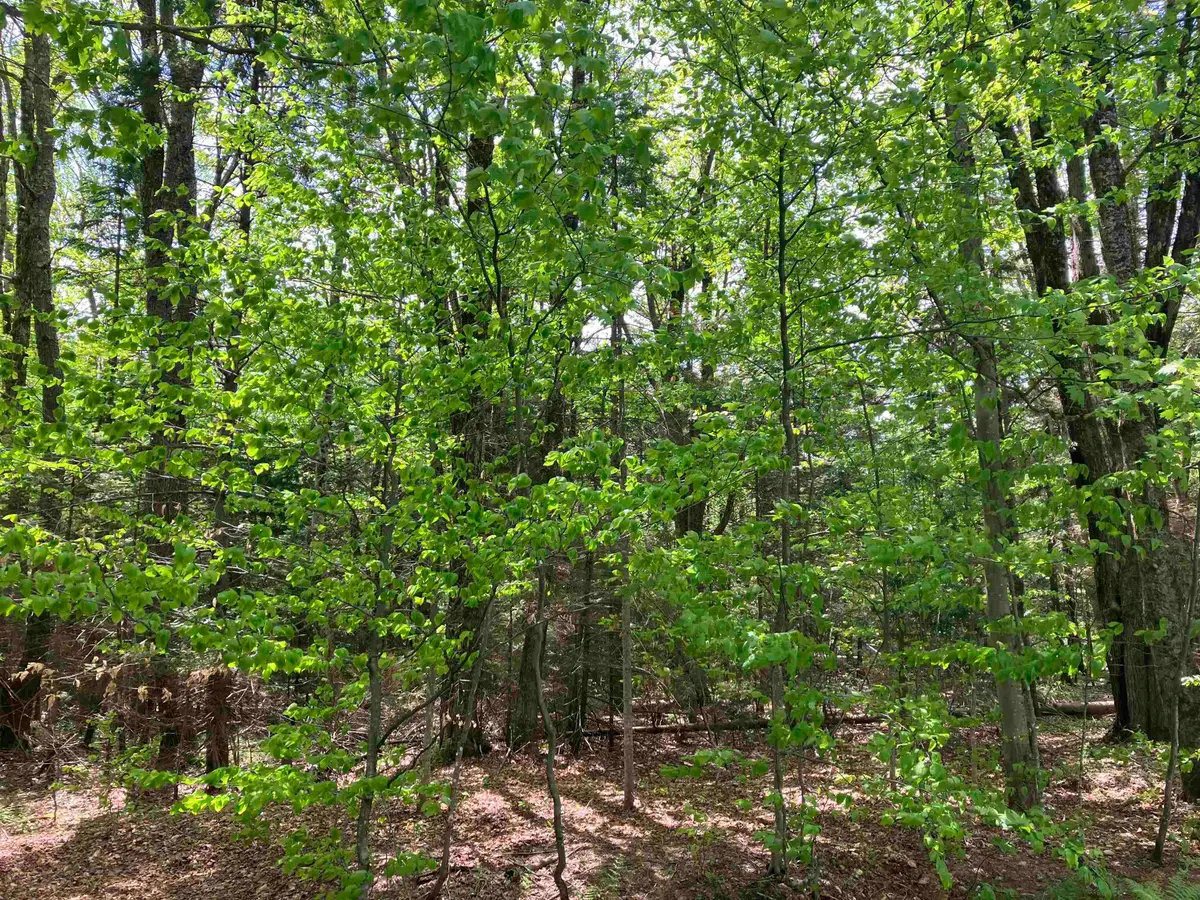 Lot 118 High Top Road #B-118, Wilmington, VT 05363 - #1