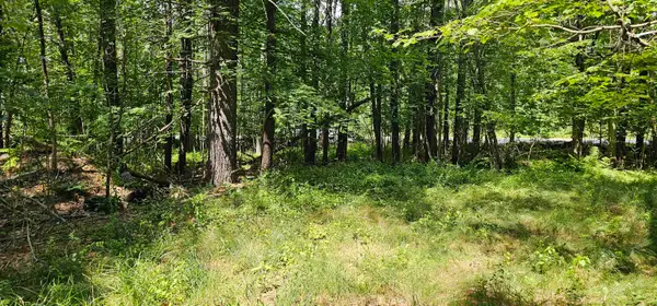 492 Moultonboro Neck Road, Moultonborough, NH 03254-4739