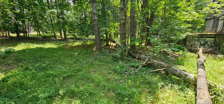 492 Moultonboro Neck Road, Moultonborough, NH 03254-4739 - #2