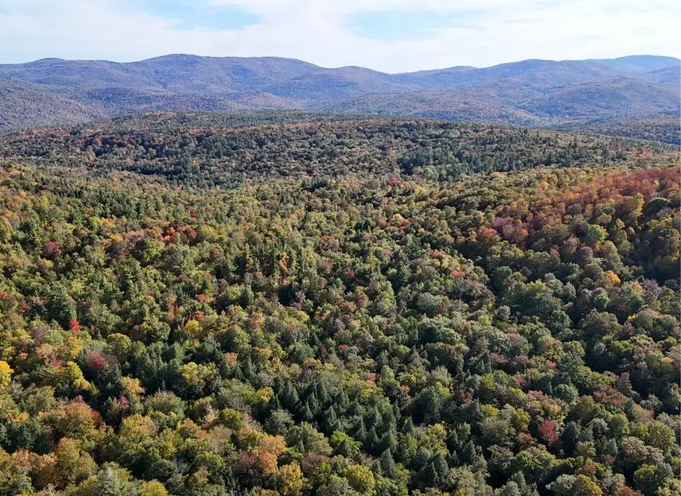 0 Black Bear Road, Jamaica, VT 05343 - #1