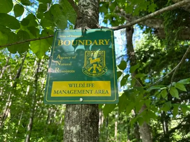000 Marton Road, Windsor, VT 05089 - #2
