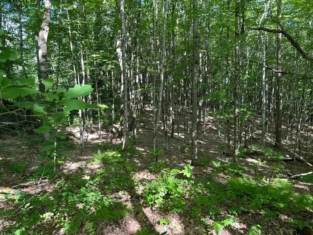 000 Marton Road, Windsor, VT 05089 - #3