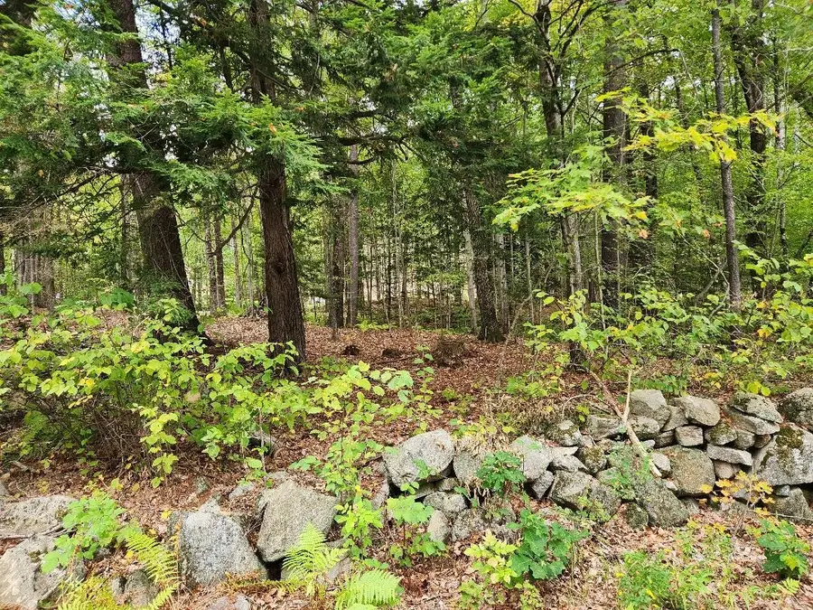 00 Old Walpole Road, Keene, NH 03431 - #2