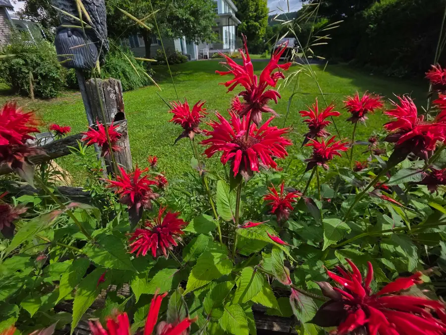 15 Maple Avenue, Chelsea, VT 05038 - #2