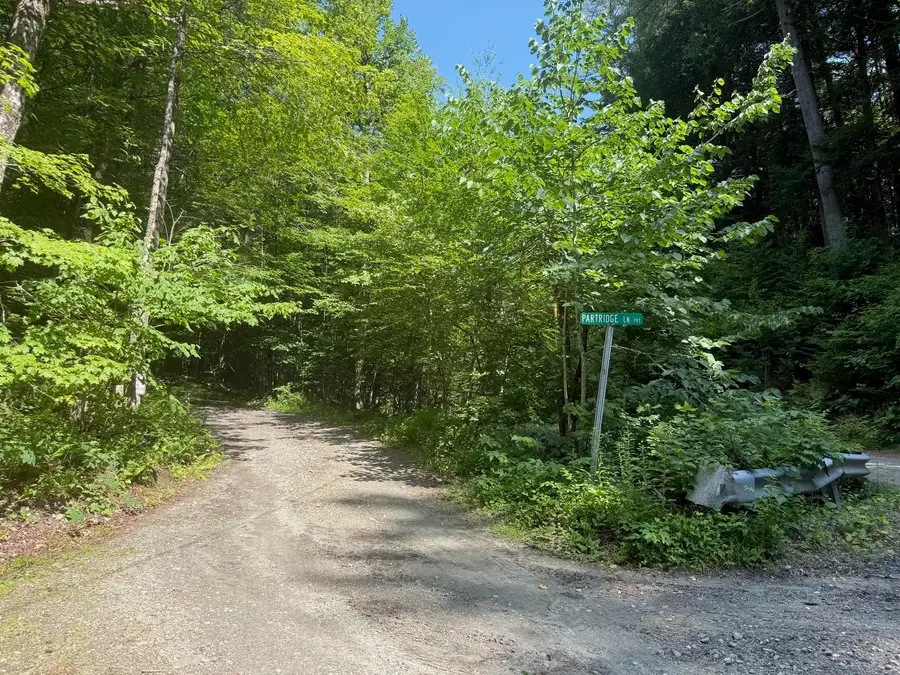 182 Partridge Lane, Jamaica, VT 05343 - #3