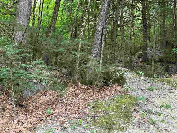 0 Windsor Terrace Road, Concord, NH 03303