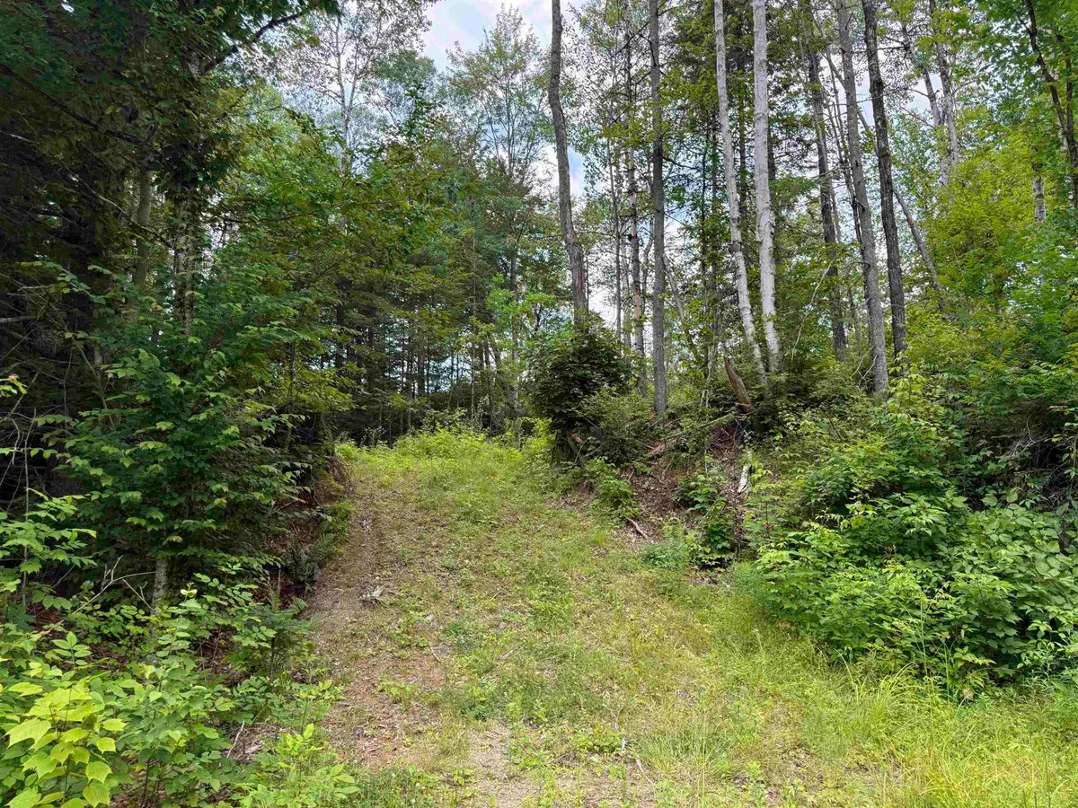 Lot 5 VT Route 102, Guildhall, VT 05905 - #1