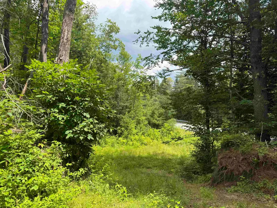 Lot 5 VT Route 102, Guildhall, VT 05905 - #2