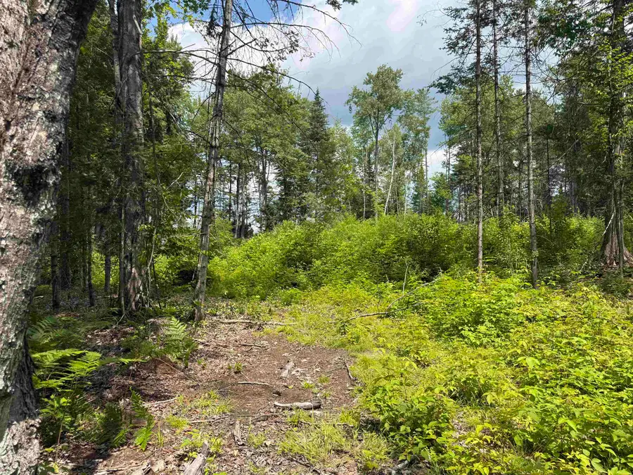 Lot 5 VT Route 102, Guildhall, VT 05905 - #3