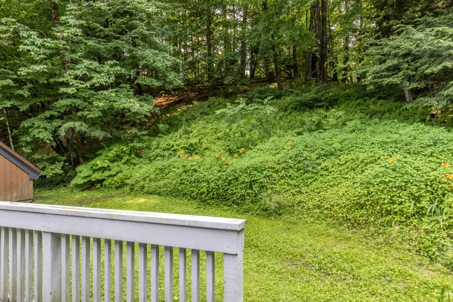 354 Stonybrook Road #24, Stowe, VT 05672 - #3