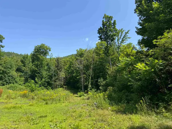 Lot 154-2 Old Mountain Road, Moultonborough, NH 03254