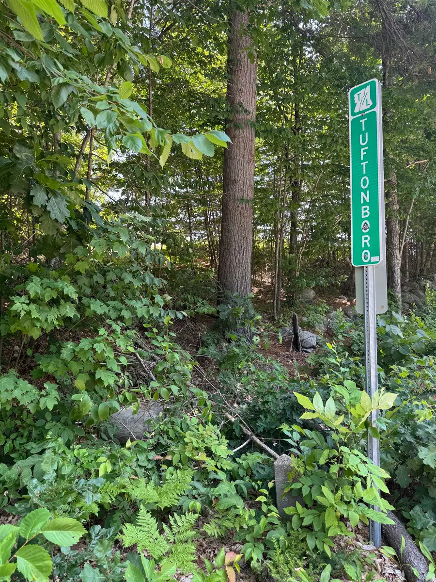 Lot 154-2 Old Mountain Road, Moultonborough, NH 03254 - #3