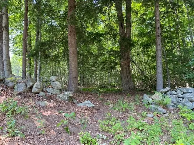 96 Nelson Hill Road, Sutton, NH 03221 - #3