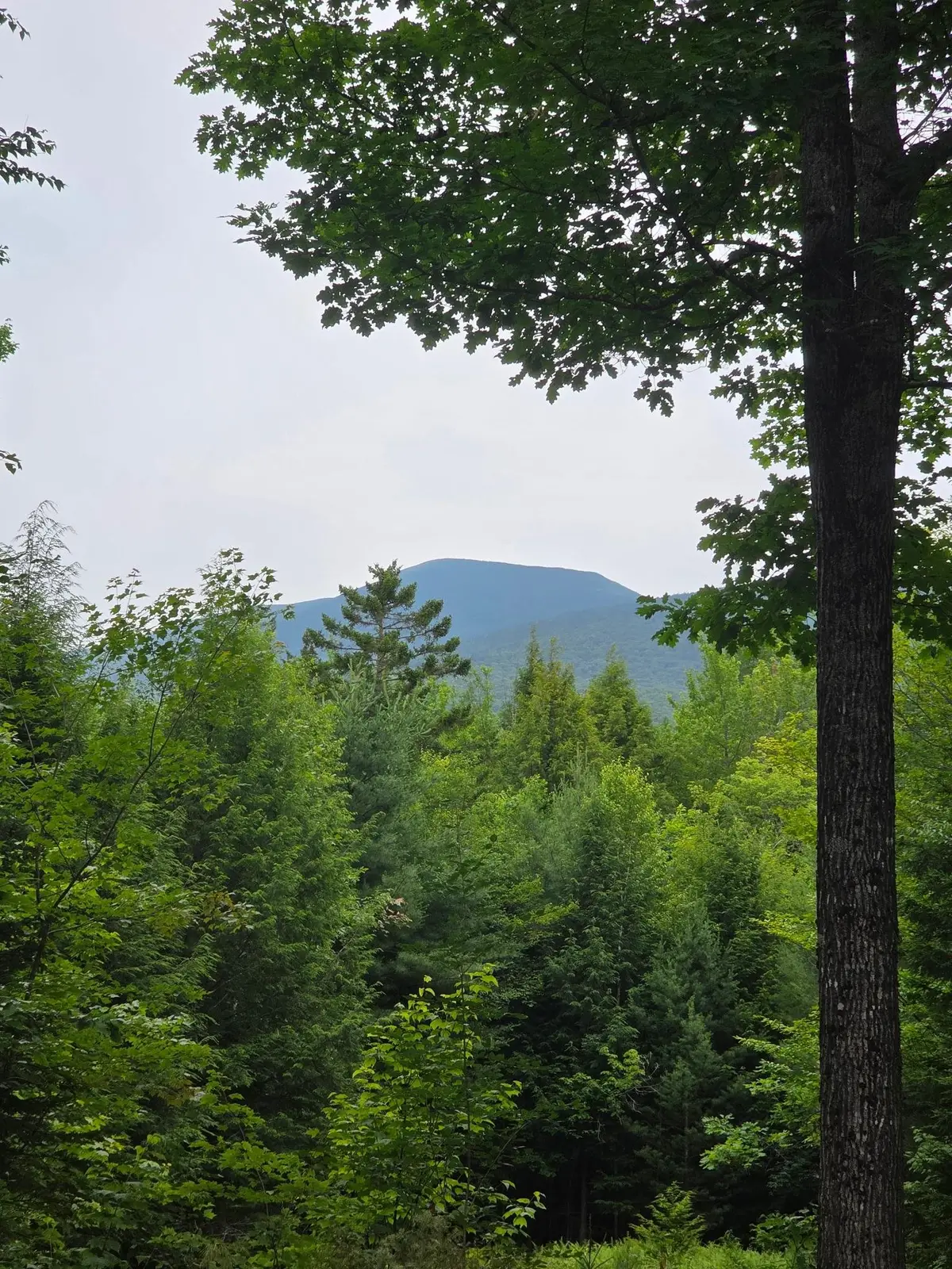 00 Stimson Road, Warren, NH 03279 - #1