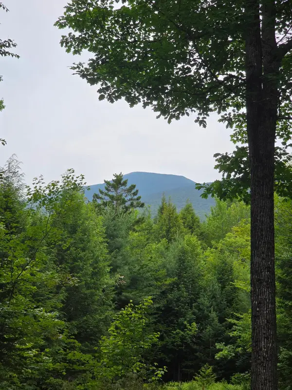 00 Stimson Road, Warren, NH 03279