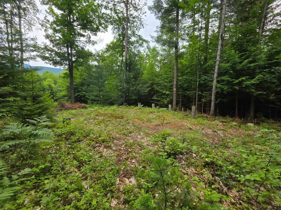 00 Stimson Road, Warren, NH 03279 - #2