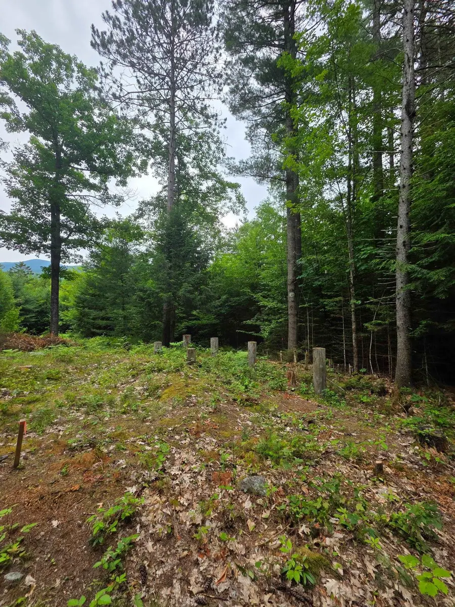 00 Stimson Road, Warren, NH 03279 - #3