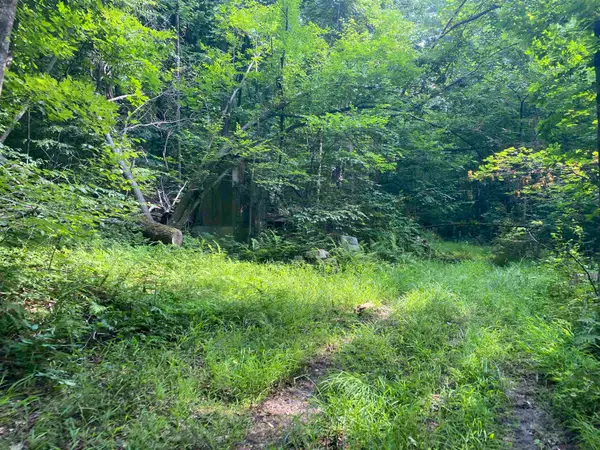 0 Sherman Lane, New Haven, VT 05472