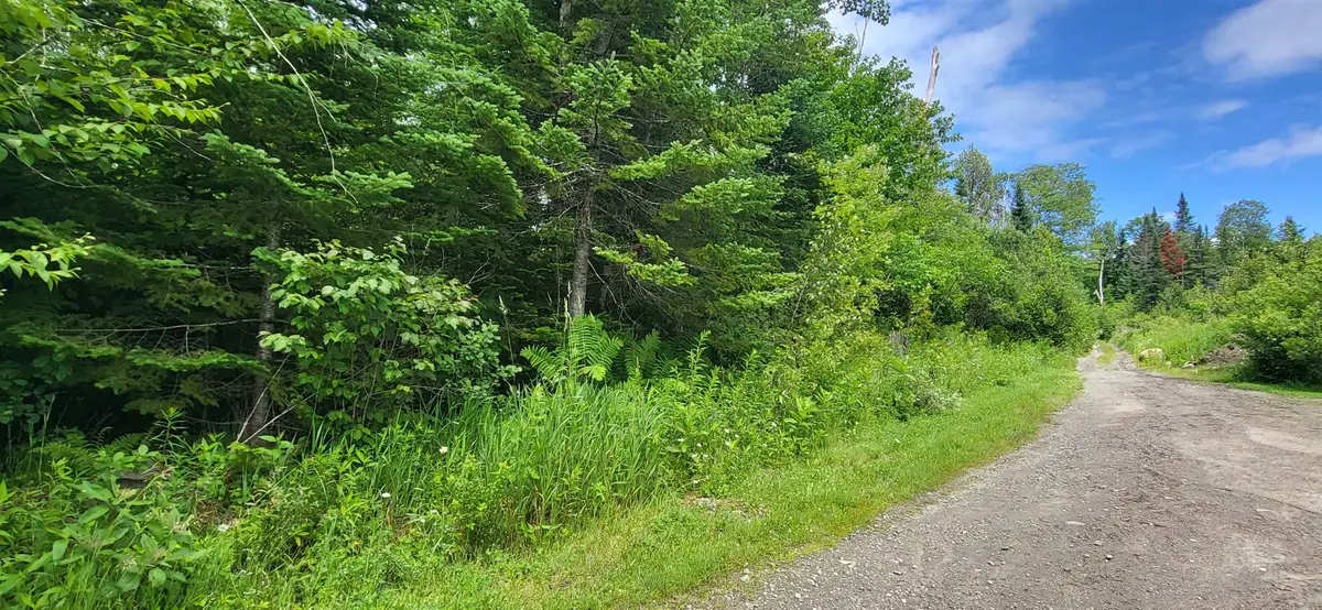 0 Thomas West Road, Lunenburg, VT 05906 - #1
