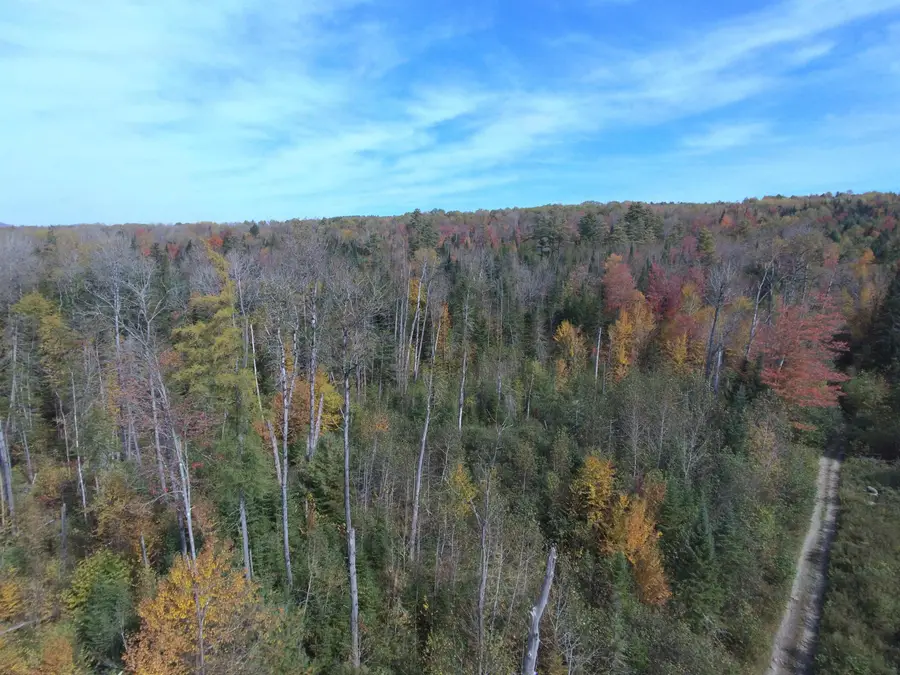 0 Thomas West Road, Lunenburg, VT 05906 - #3