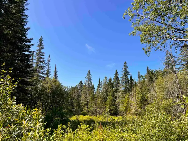 00 Noyes Road, Stewartstown, NH 03597