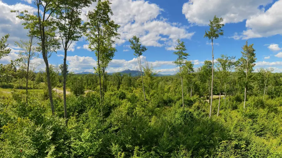 Lot 6 Whipples Way, Chocorua, NH 03817 - #2