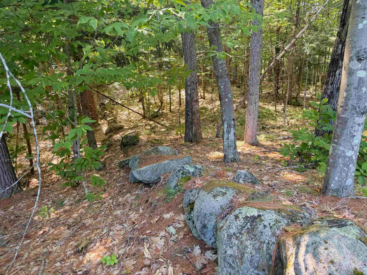 Map 218 Lot 67 Alden Washburn Drive, Tamworth, NH 03886 - #1