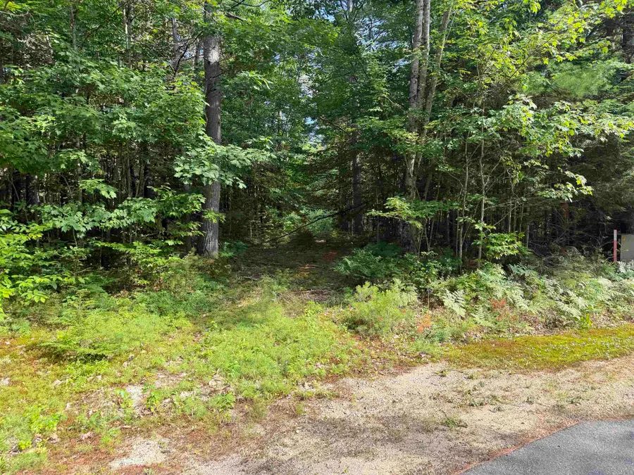 Map 218 Lot 67 Alden Washburn Drive, Tamworth, NH 03886 - #2