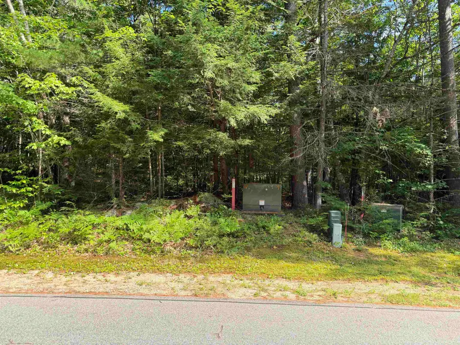 Map 218 Lot 67 Alden Washburn Drive, Tamworth, NH 03886 - #3