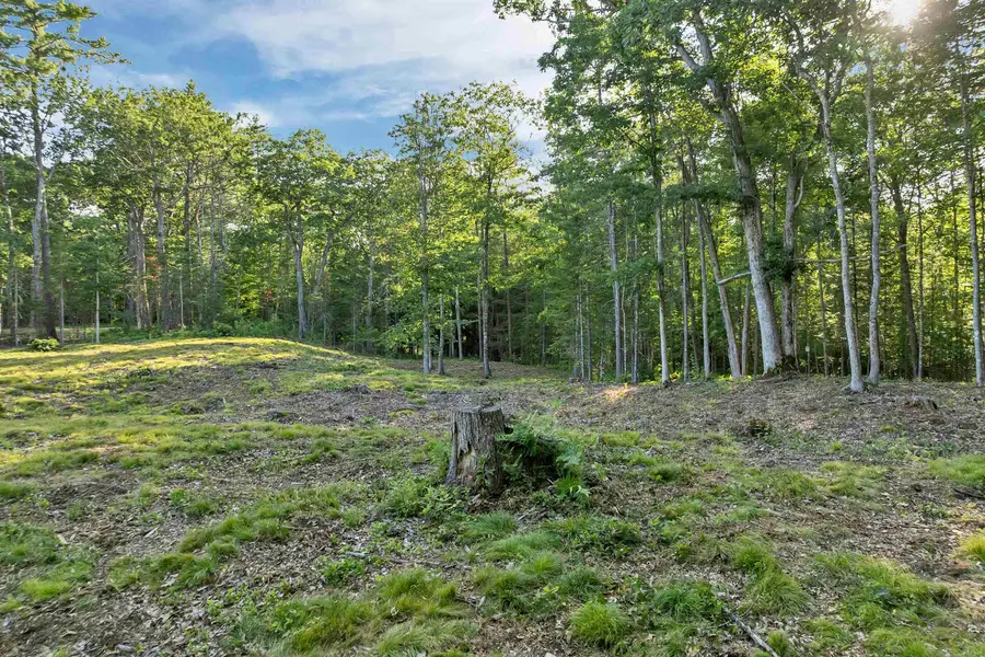 Lot 52 Remington Court, Tuftonboro, NH 03816 - #3