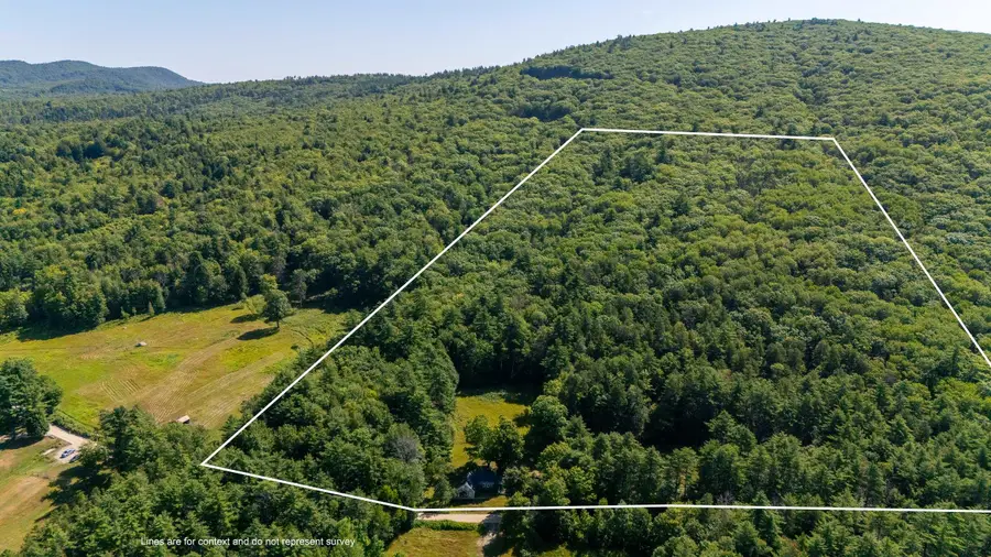 877 Lead Mine Road, Madison, NH 03849 - #3