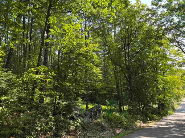 0 George Road, Hebron, NH 03241