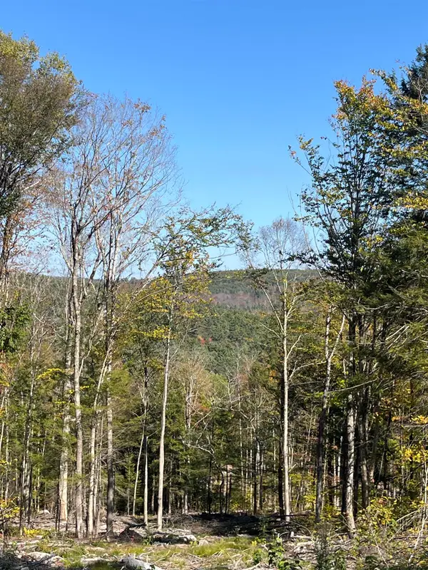 Map 227 Lot 010 Underwood Road, Acworth, NH 03601