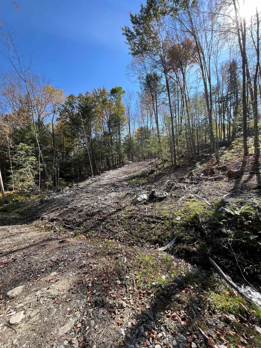 Map 227 Lot 010 Underwood Road, Acworth, NH 03601 - #3