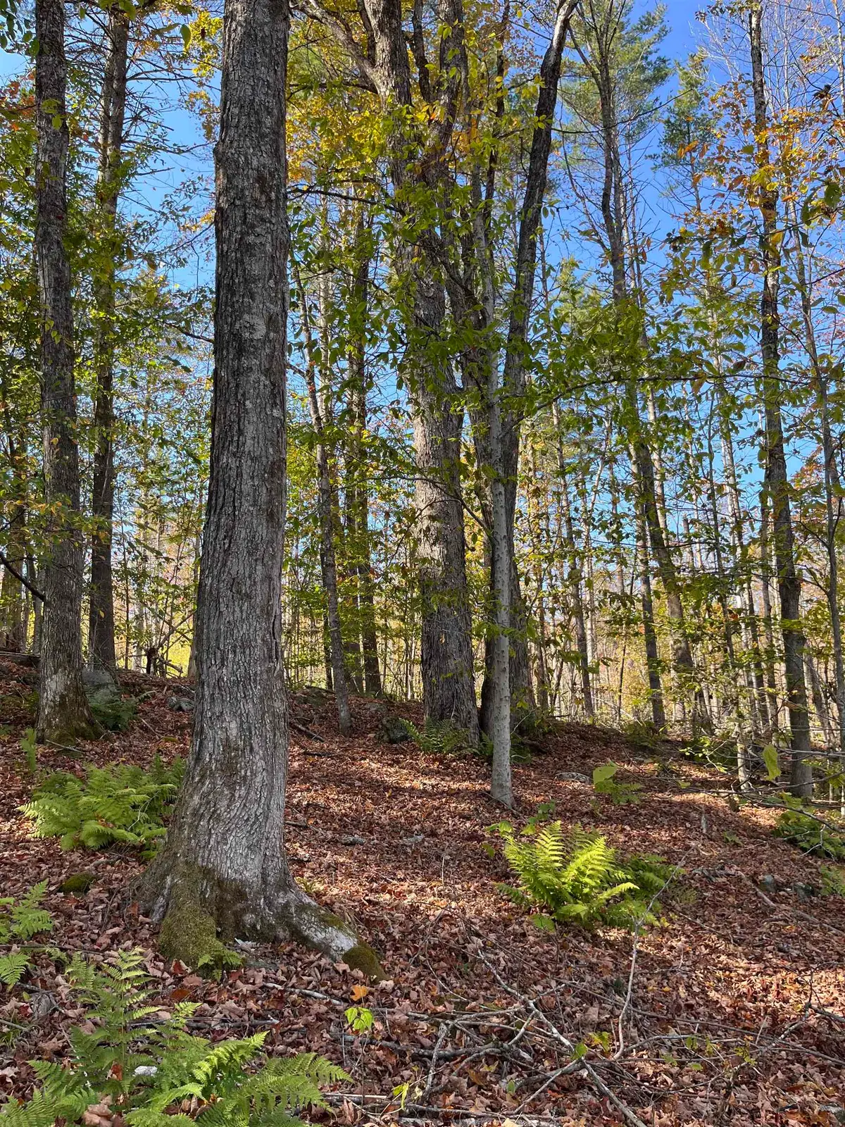 Map 227 Lot 007 Underwood Road, Acworth, NH 03601 - #1