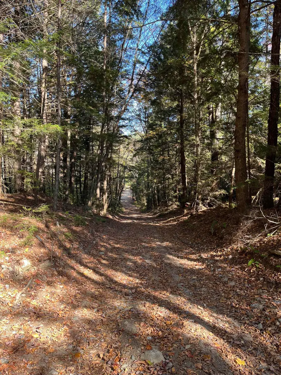 Lots 7 & 10 Underwood Road #Map 221 Lots 007 & 010, Acworth, NH 03601 - #2
