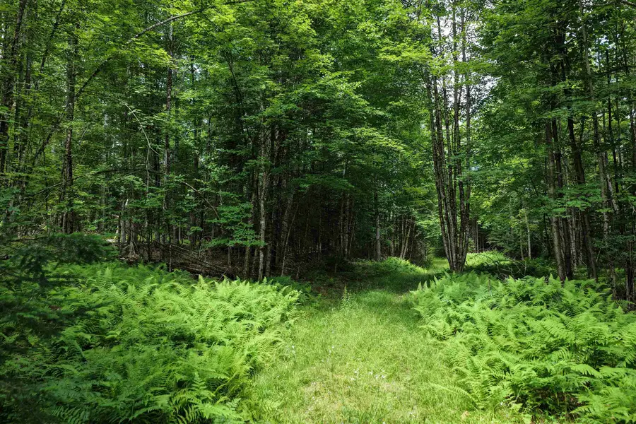 4766 Duck Pond Road, Waterford, VT 05819 - #2