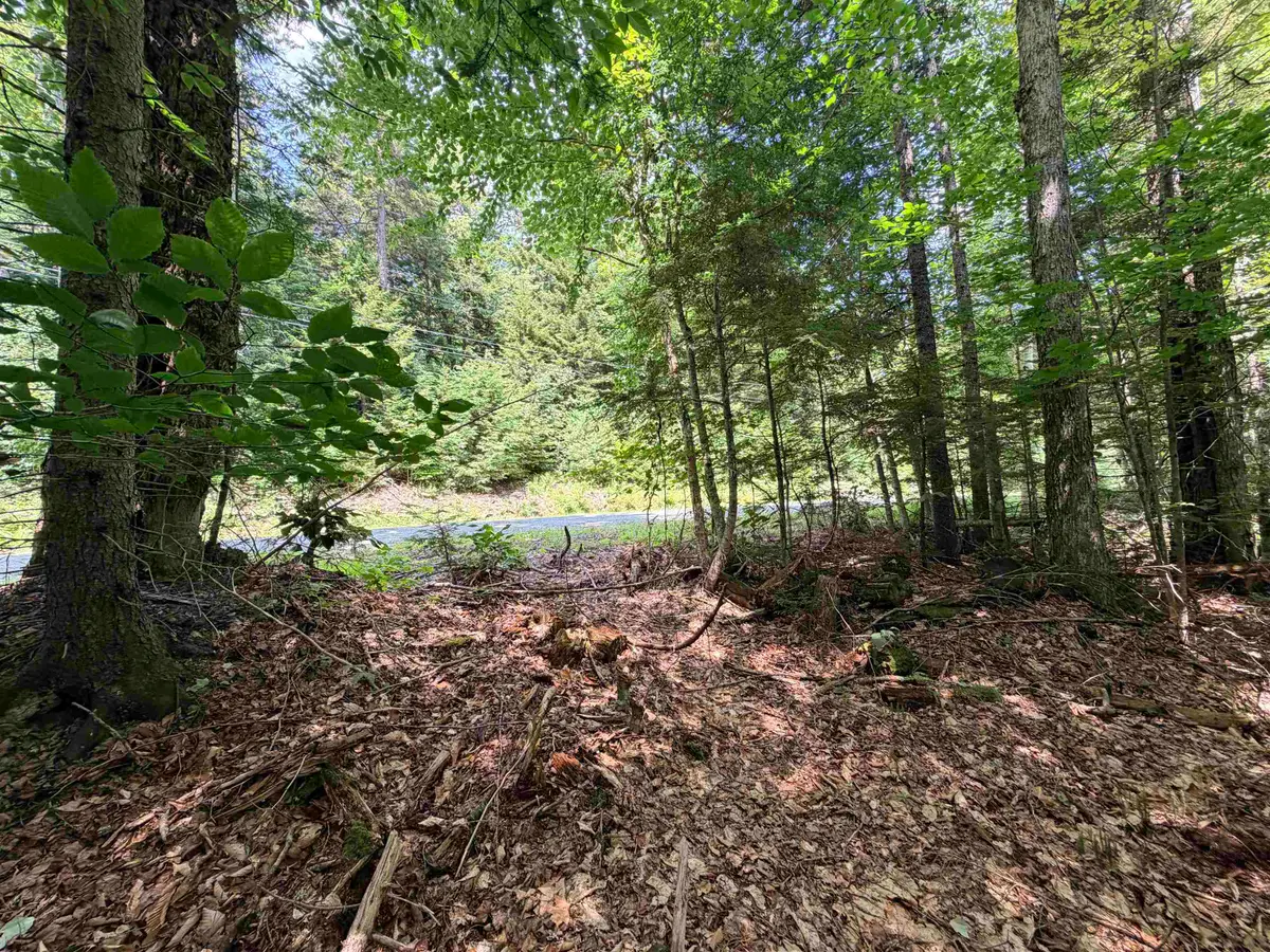 56 & 57 Boardman Loop, Wardsboro, VT 05355 - #1