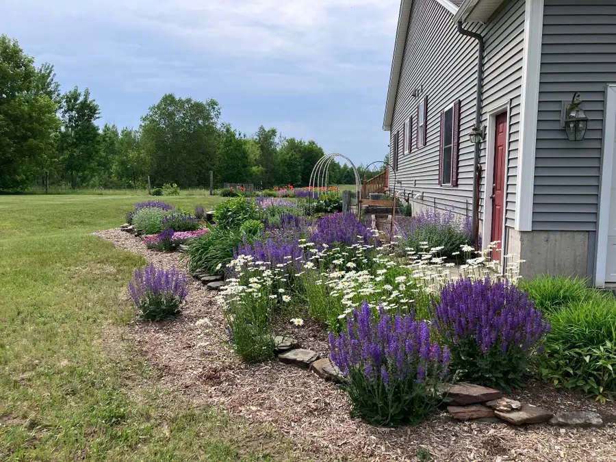 45 Donna's Way, Colchester, VT 05446 - #2