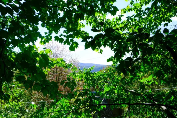 2-42 Coopers Trace, Plymouth, VT 05056