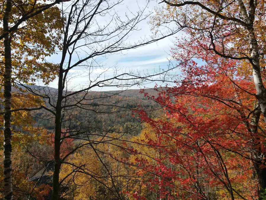 2-42 Coopers Trace, Plymouth, VT 05056 - #2