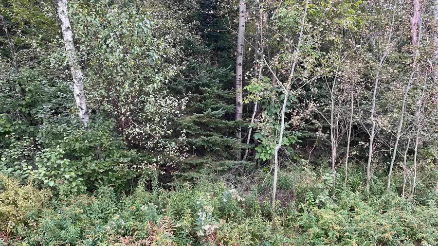 0 Oregon Road #3, Lisbon, NH 03585 - #2