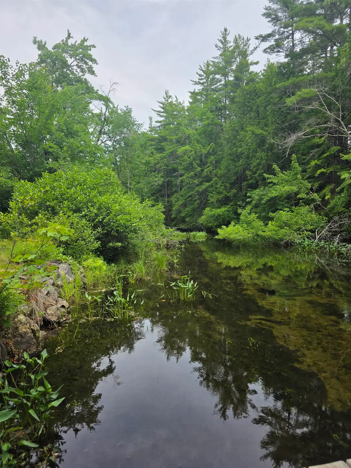 217 Heath Road, Wakefield, NH 03872 - #1